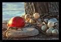 primorska ikeb&hellip;