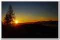 Dobro Jutro