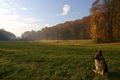 jutarnja šetnj&hellip;