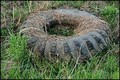 Ekološka nesvi&hellip;