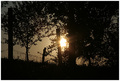 ZONA SUMRAKA U&hellip;