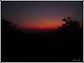 suton u vinogr&hellip;