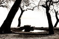 Some Peace Of &hellip;