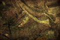 "Detalj f&hellip;
