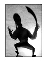 shadow of a pi&hellip;