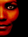 redskin revisi&hellip;