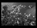 spring-bloom-s&hellip;