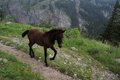 Odvazno zdrije&hellip;