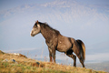 Jutarnje osmat&hellip;