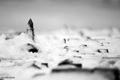 Split pod snig&hellip;