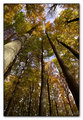 Pogled prema j&hellip;