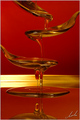 Essence of wom&hellip;