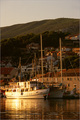 Jelsa
