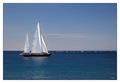 Ajmo dica, ruu&hellip;
