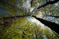Biogradska pra&hellip;
