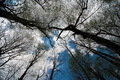 Biogradska pra&hellip;