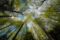 Biogradska pra&hellip;
