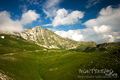 Prutaš