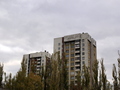 rastemo iz drv&hellip;