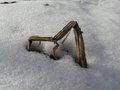 Stiže proljeće&hellip;