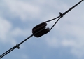 Connected to w&hellip;