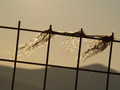 Armatura......&hellip;