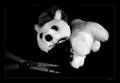 Bears have fee&hellip;