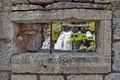 Pogled kroz ml&hellip;