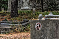 Židovsko grobl&hellip;