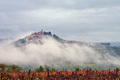Motovun IX