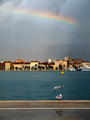 Opet galebovi.&hellip;