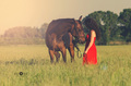 Lady & Lor&hellip;
