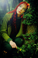 Enchanted Fore&hellip;