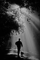 Sun's rev&hellip;