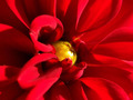 The heart if a&hellip;