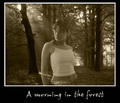 A morning in f&hellip;