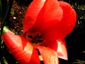 Ljepota prirod&hellip;