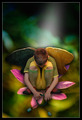 Fallen - reloa&hellip;