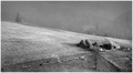 Zlatibor b&amp&hellip;