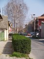 Ulica Dositeje&hellip;