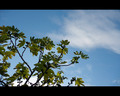.::dublin sky:&hellip;