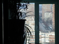 pOGLED S MOG P&hellip;