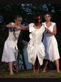 plesni perform&hellip;