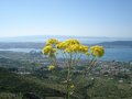 Kastelanski ba&hellip;