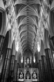 Westminster Ab&hellip;