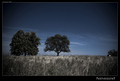Somewhere In B&hellip;