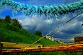 The blue rope &hellip;