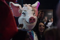 Dr Pigley u ce&hellip;