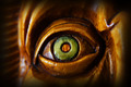 He is watching&hellip;