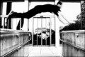 Jumping Jack f&hellip;